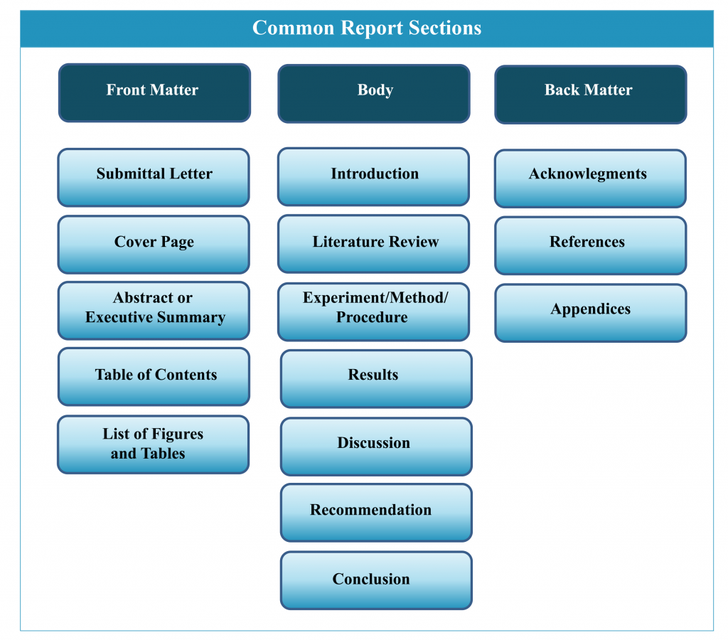 Common report sections