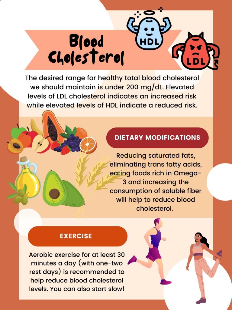 6.3 Lipid Digestion, Absorption, and Transport – Nutrition and Physical ...