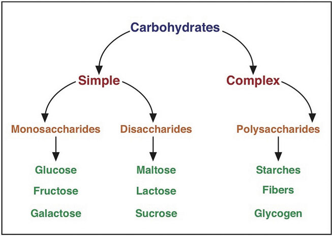 Flowchart showing how carbohydrates are classified as simple or complex