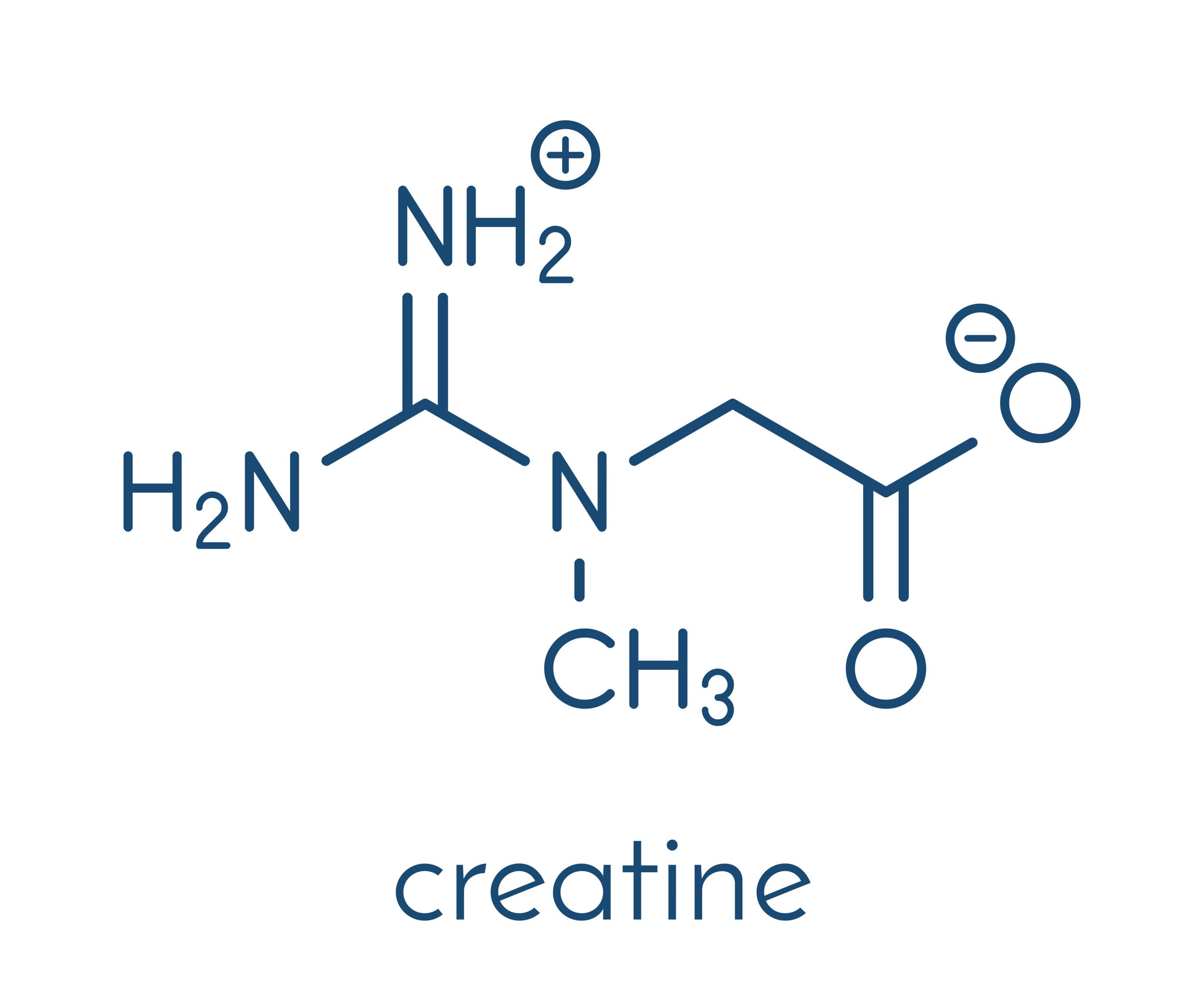 Image showing the chemical structure of creatine