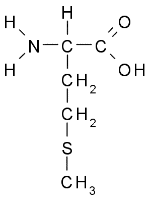 Chemical Structure of Methionine