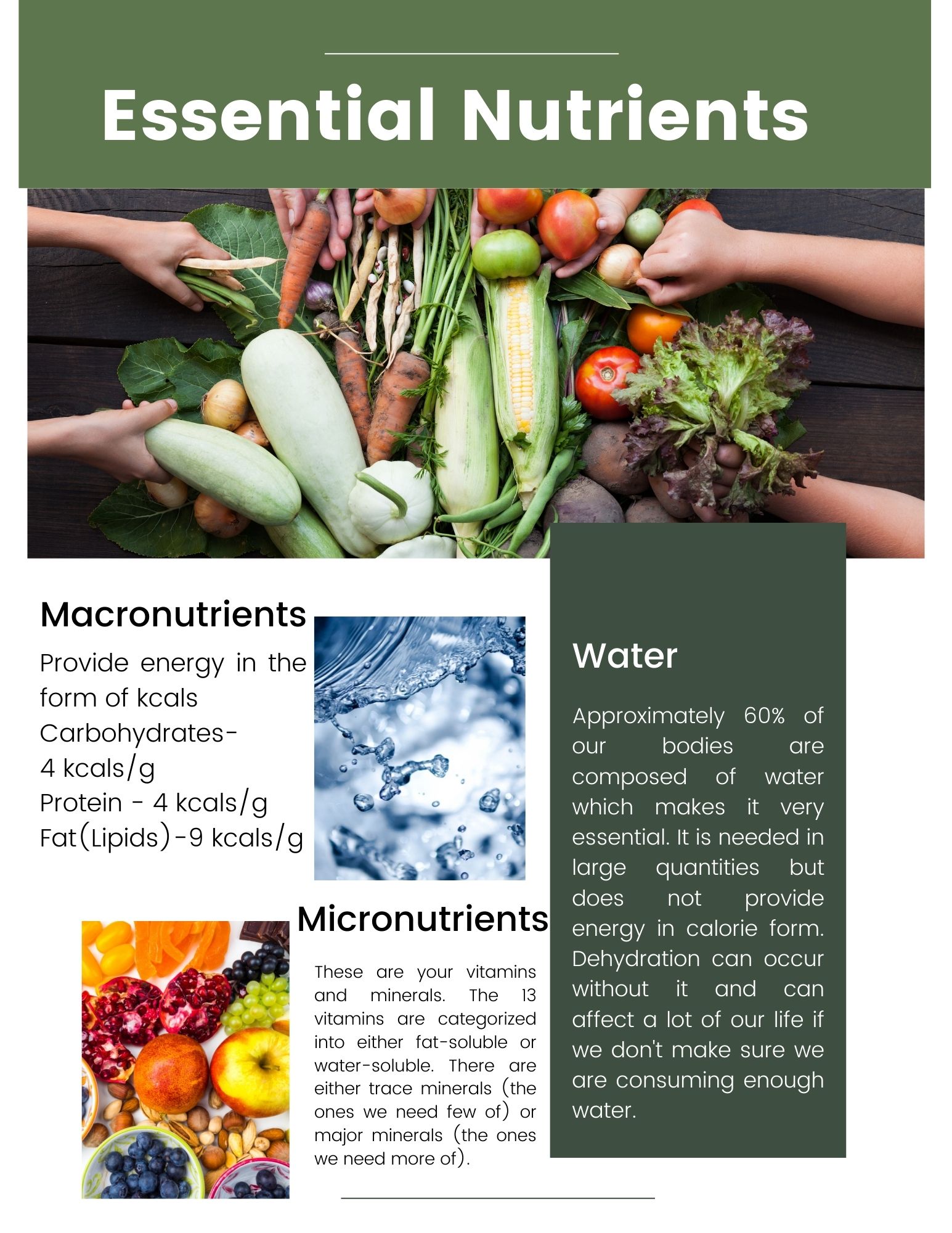 Infographic summarizing the categories of essential nutrients: macronutrients, micronutrients, and water