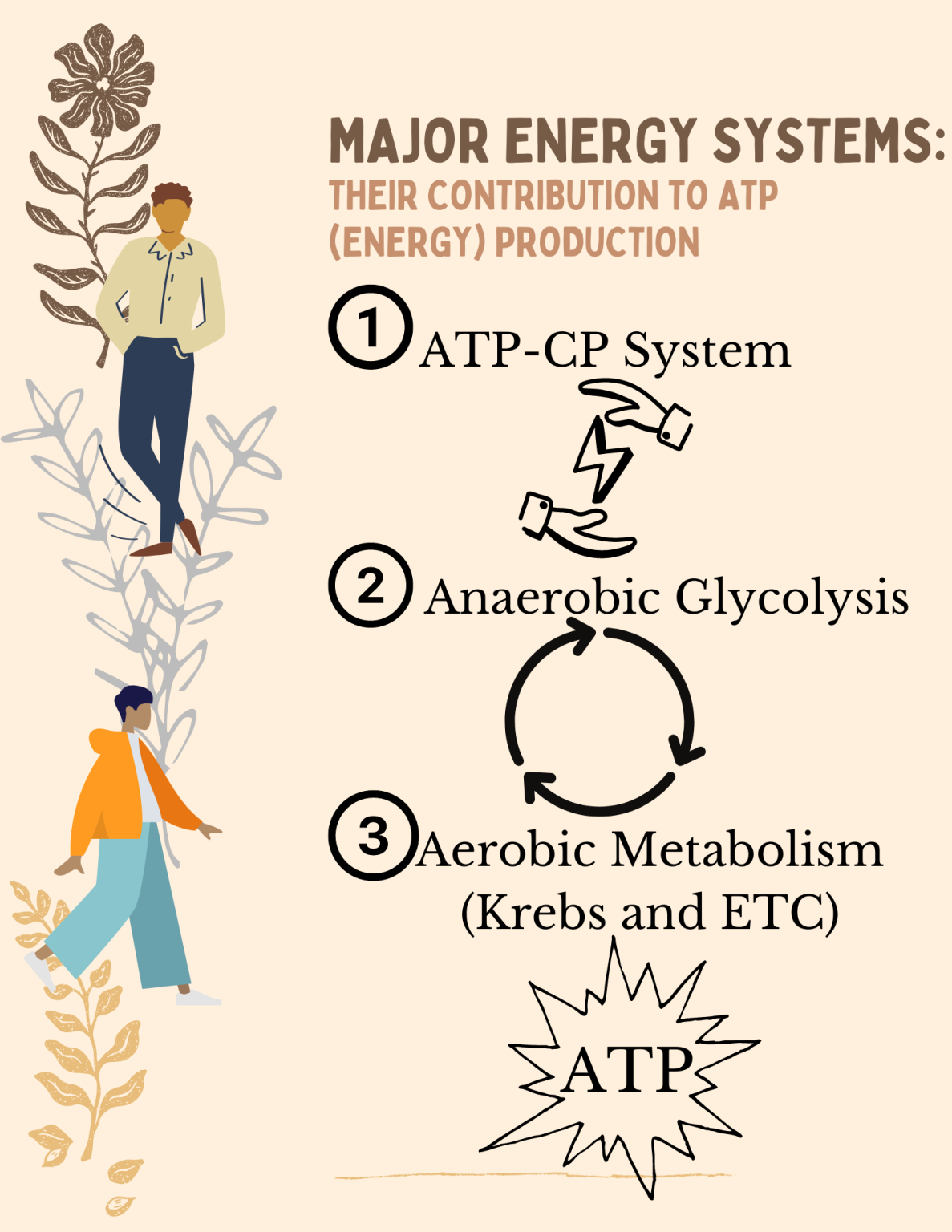 8 1 Adenosine Triphosphate ATP Nutrition And Physical Fitness 8-1-adenosine-triphosphate-atp-nutrition-and-physical-fitness