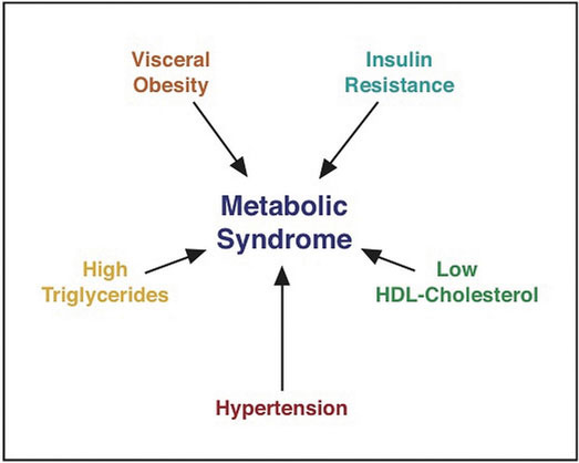 Image showing that visceral obesity, insulin resistance, low HDL-cholesterol, hypertension, and high triglycerides are the risk factors that make up metabolic syndrome