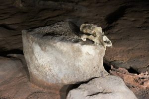 Chauvet Cave (Bear Skull), (Ardèdeche, France). Photo by Claude Valette, CC BY-ND 2.0.