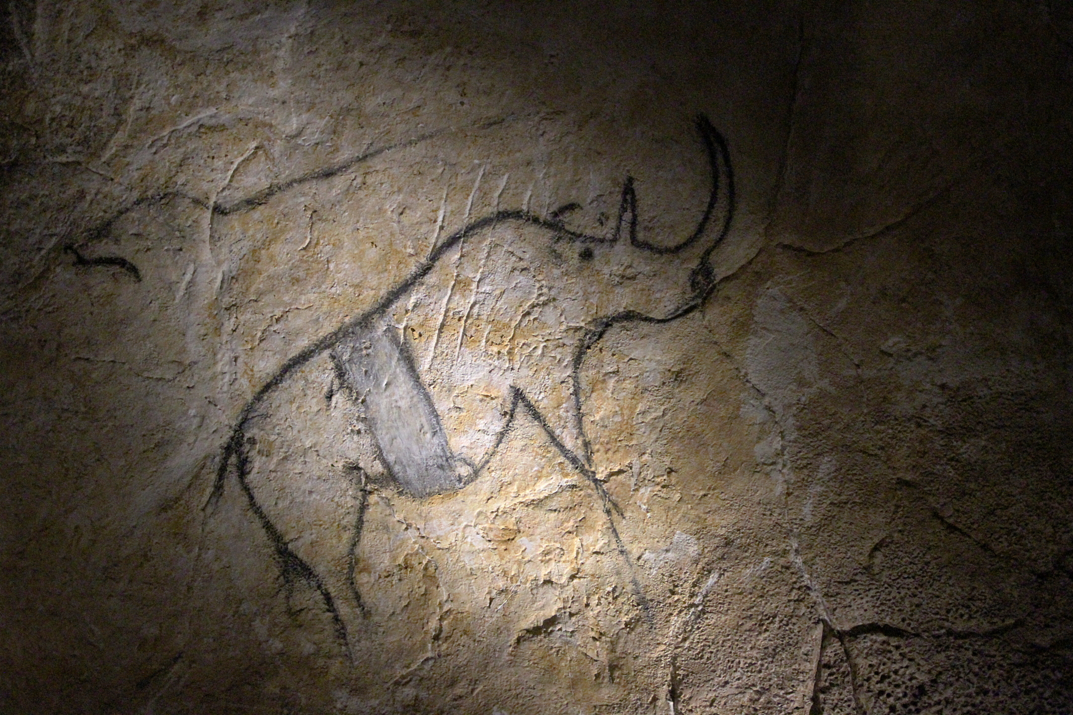 Chauvet Cave (Detail of Rhinoceros), (Ardèdeche, France). Photo by Claude Valette, CC BY-ND 2.0.