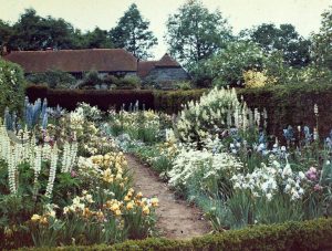 Gertrude Jekyll’s garden at Munstead Wood, Surrey, autochrome photograph by Country Life Garden Editor Herbert Cowley, 1912. Photo: Public Domain.