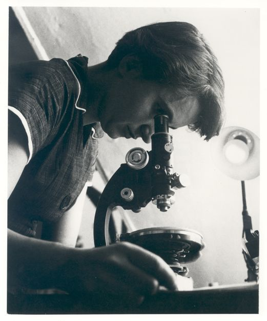 Historic photo of woman looking into a microscope.