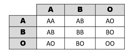 A table showing the genotypes that can occur from combinations of A, B, and O alleles.