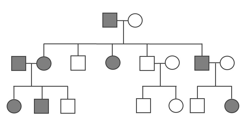 A three-generation pedigree with about half the individuals shaded in. Please see text discussion for details.