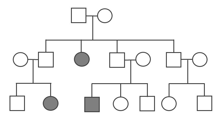A three-generation pedigree with three individuals with the trait shaded in. Please see text discussion for details.