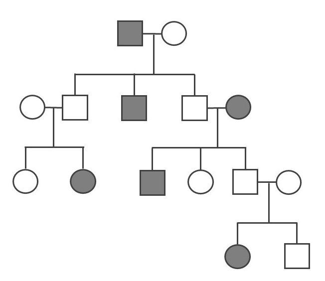 Pedigree where 6 of 15 individuals have the trait. On 2 separate branches parents without the trait have a biological child who does.