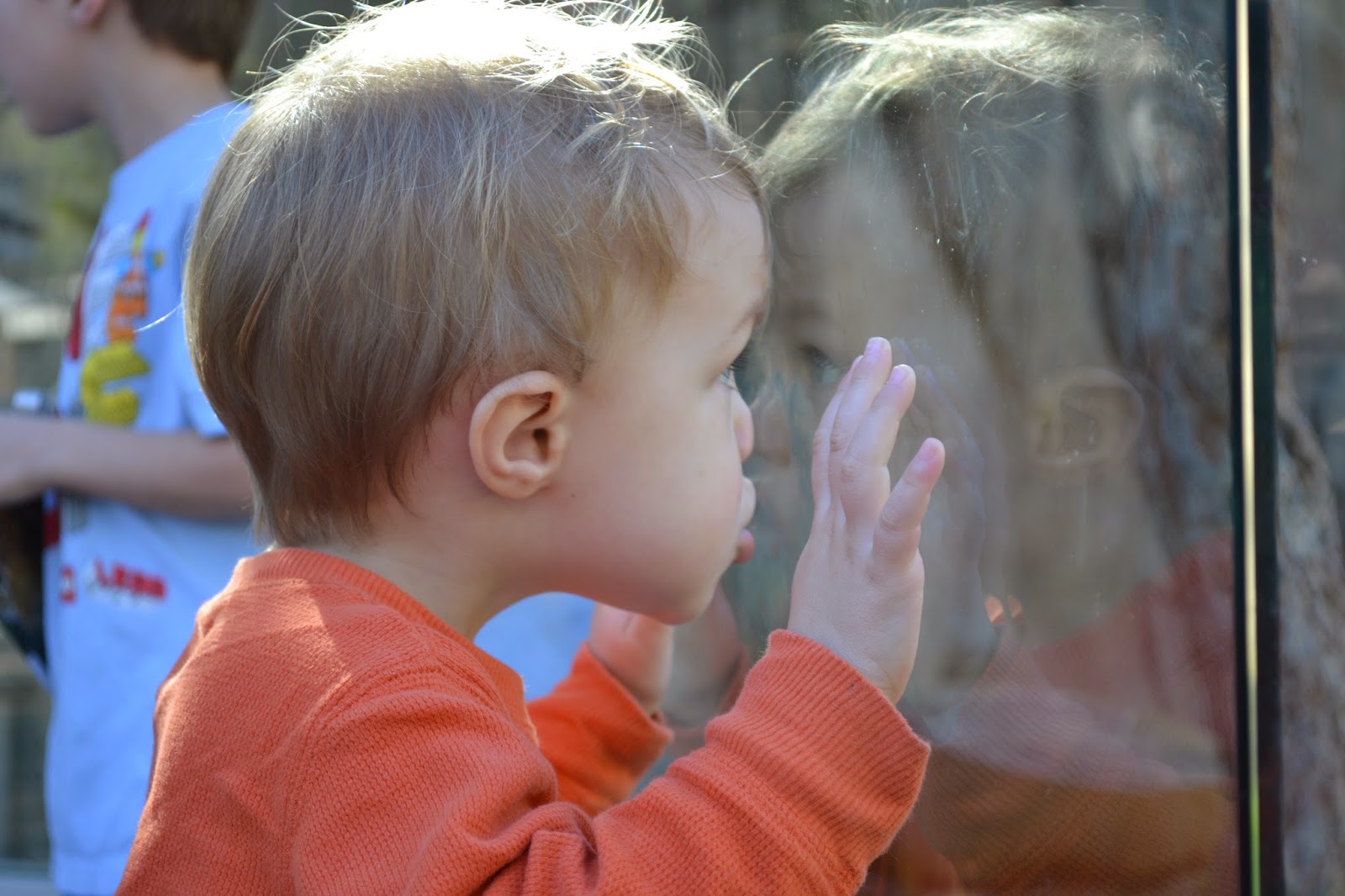 Toddler presses their hands and face against a large window.