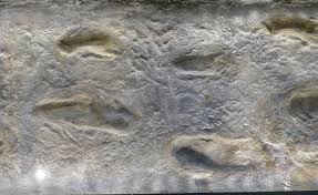 Uneven rock surface with footprints.