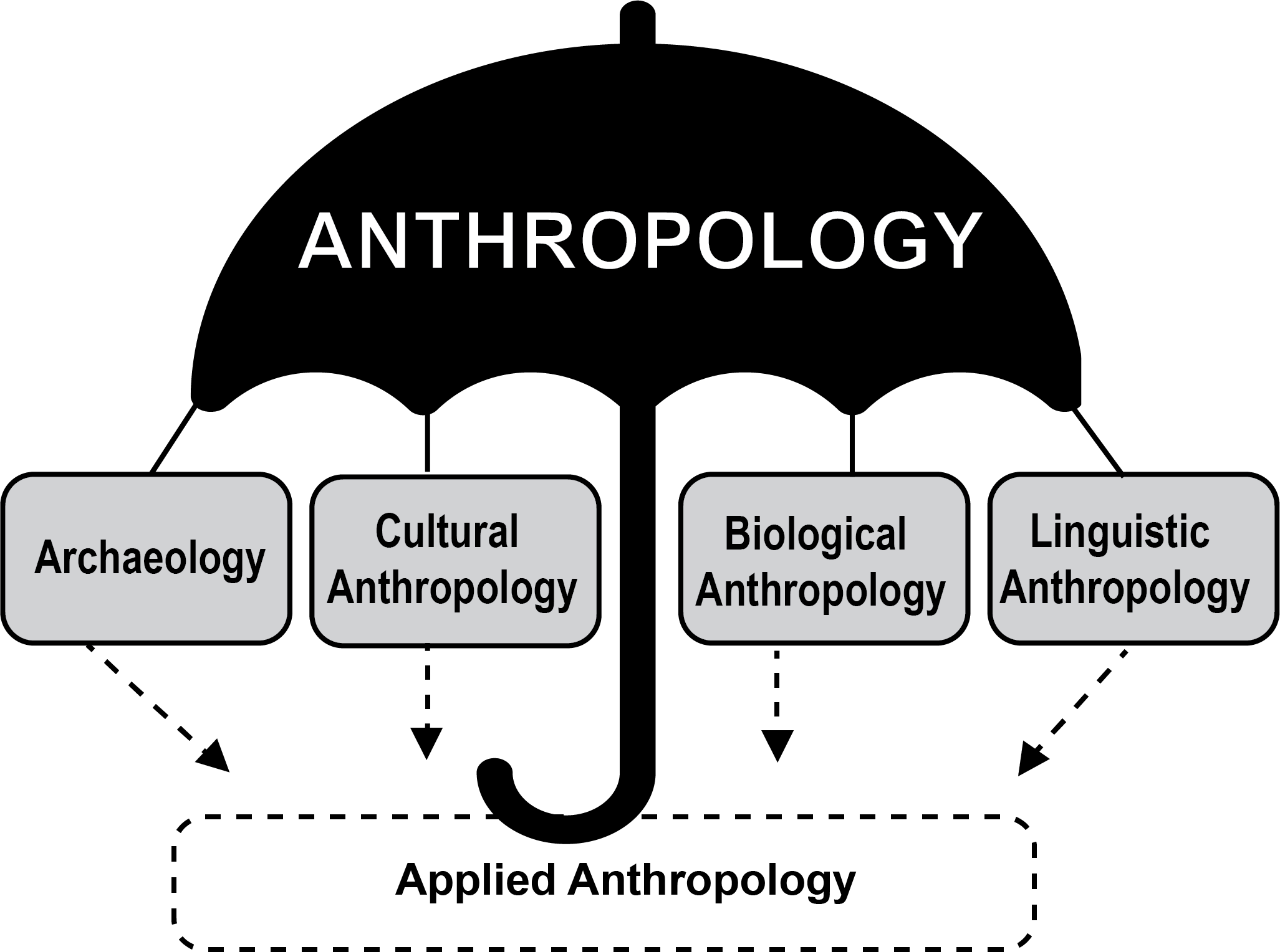 “anthropology” hovers over text boxes representing the subdisciplines.