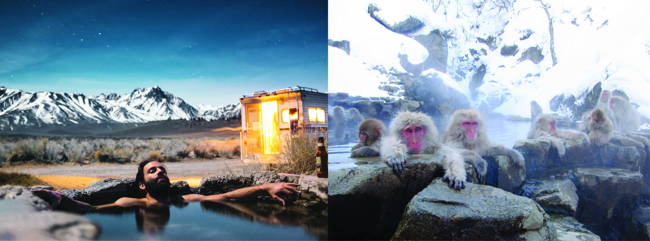 Left, a man in a hot spring. Right, monkeys in a hot spring.