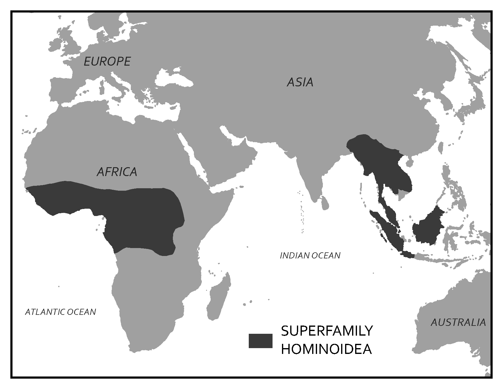 Areas of Europe, Asia, Africa, and Australia where hominoidea live.