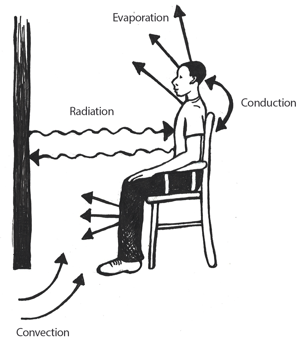 Person facing wall with arrows illustrating evaporation, conduction, radiation, and convection.