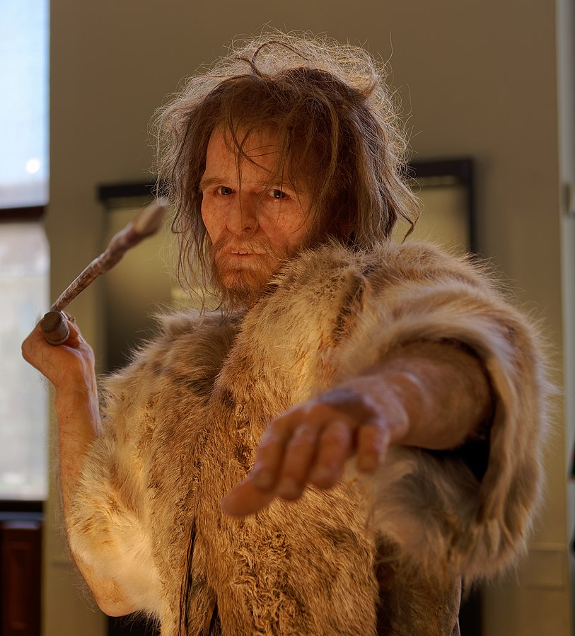 Museum exhibition of life-sized Neanderthal figure.