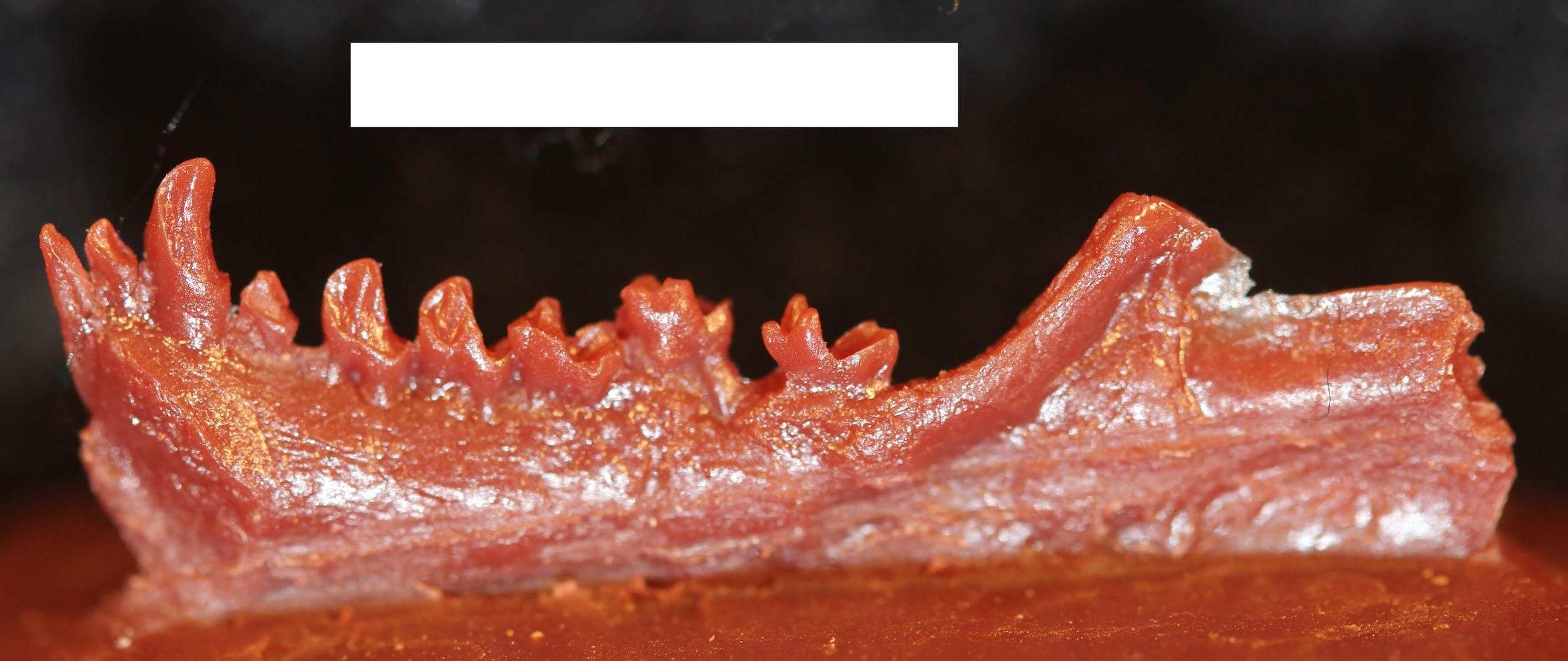 Red-colored lower jaw of an animal.