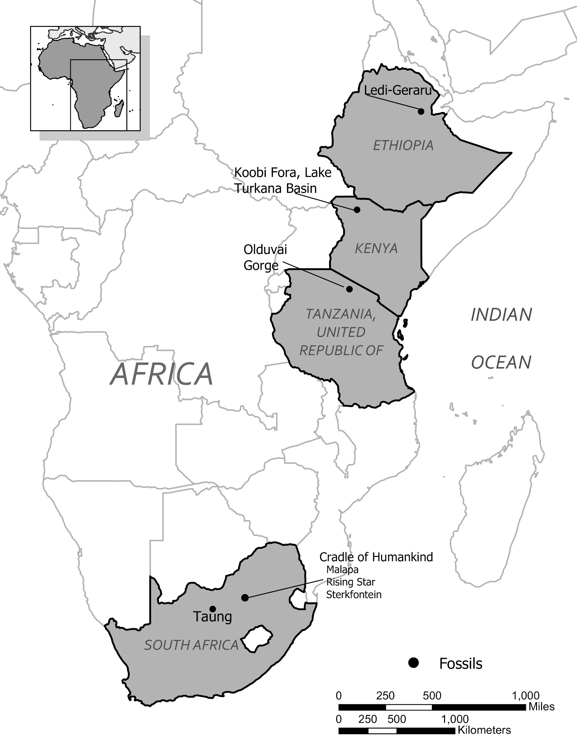 Africa map with South Africa, Tanzania, Kenya, and Ethiopia shaded.