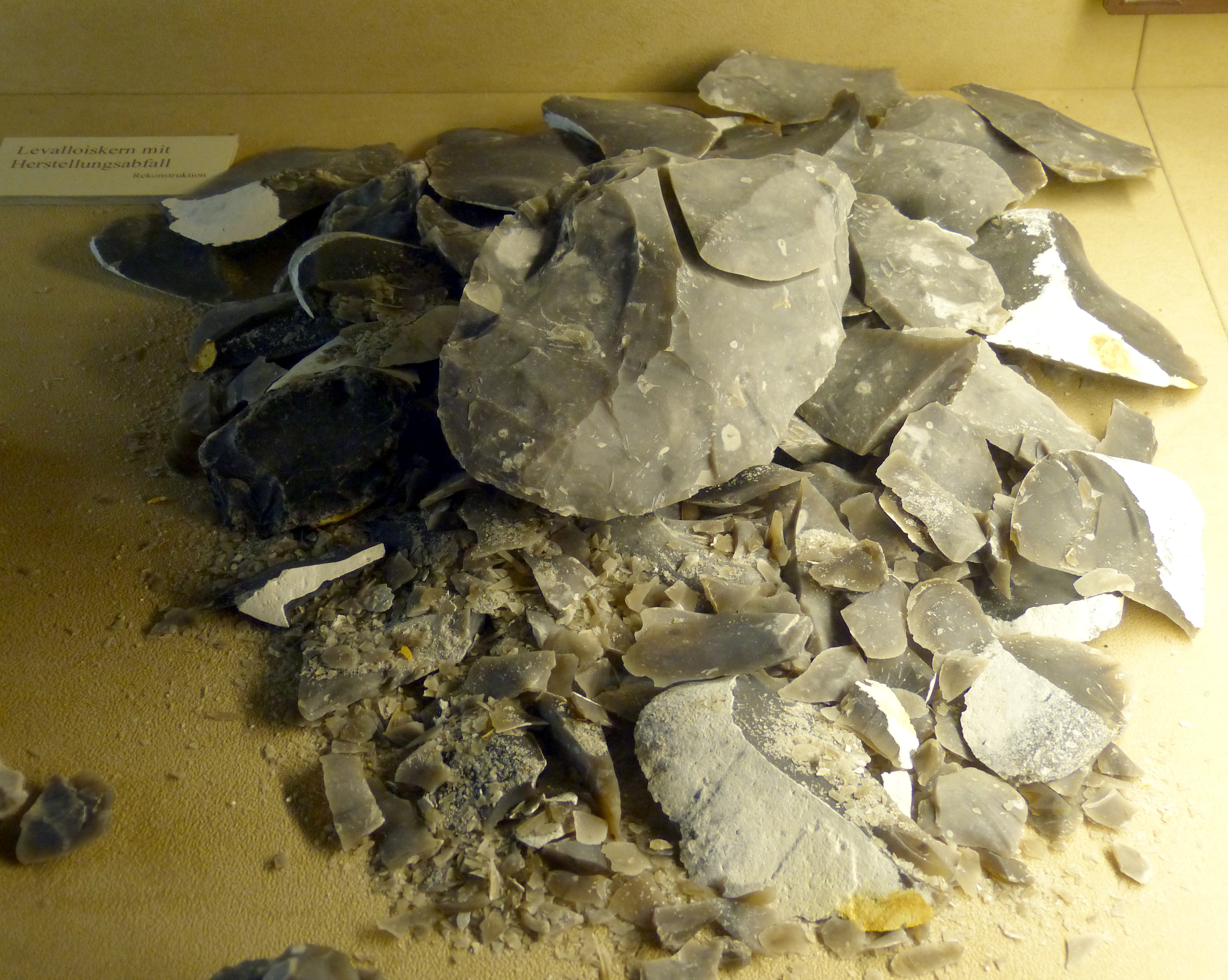 Levallois core and flakes that are gray in color and various shapes and sizes.