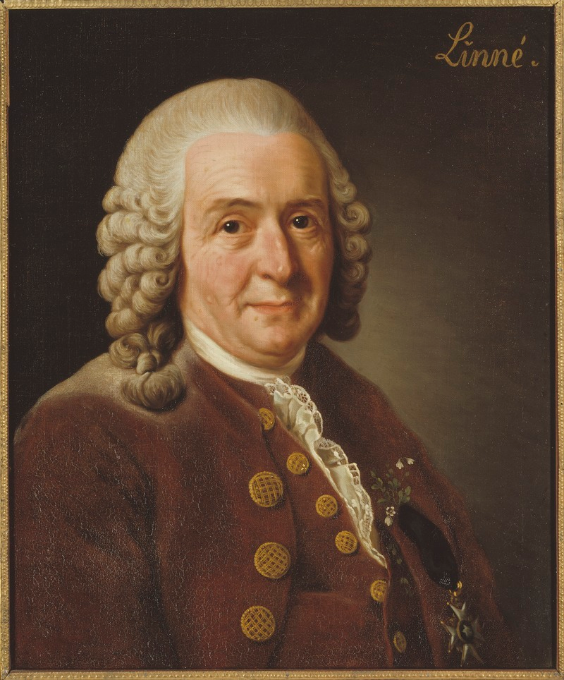 Historic painting of a man in 18th-century wig and garments.
