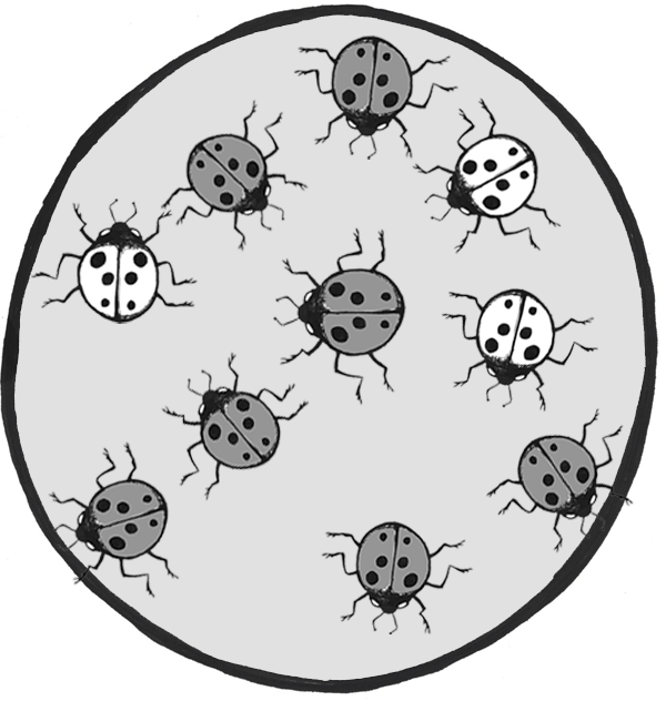 A circle with seven grey and three white ladybugs.