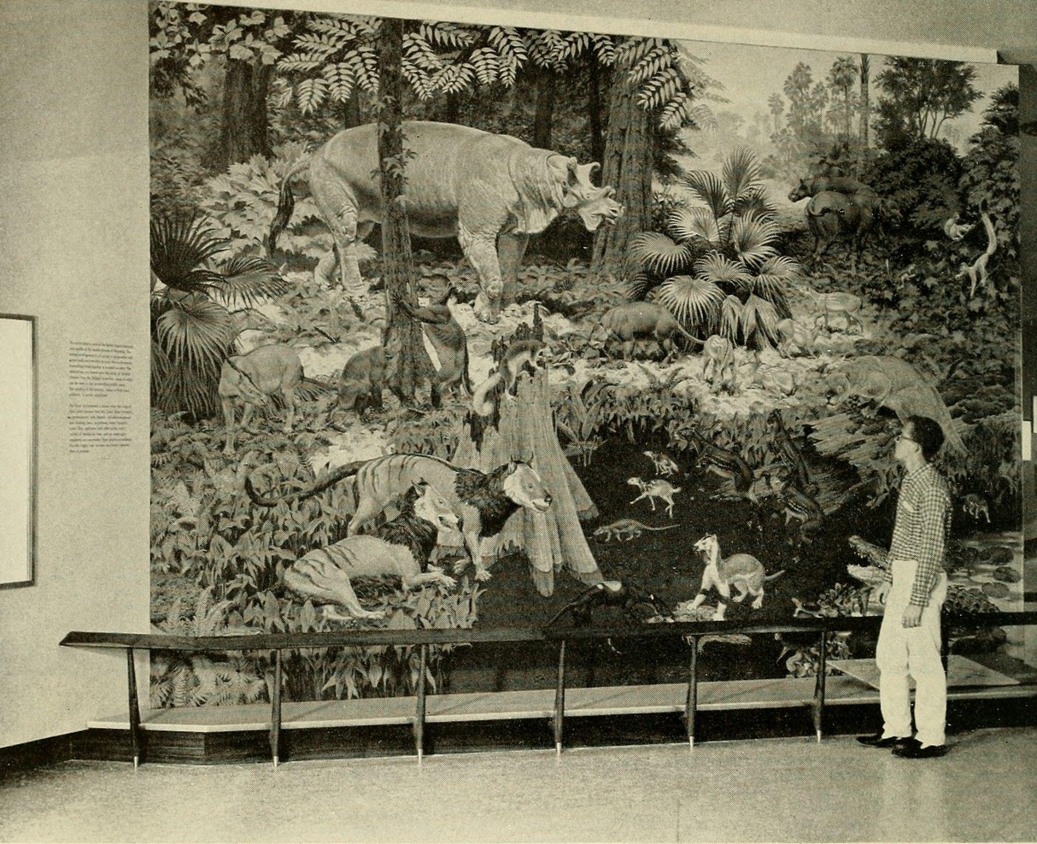 Person in front of a mural depicting forest animals.