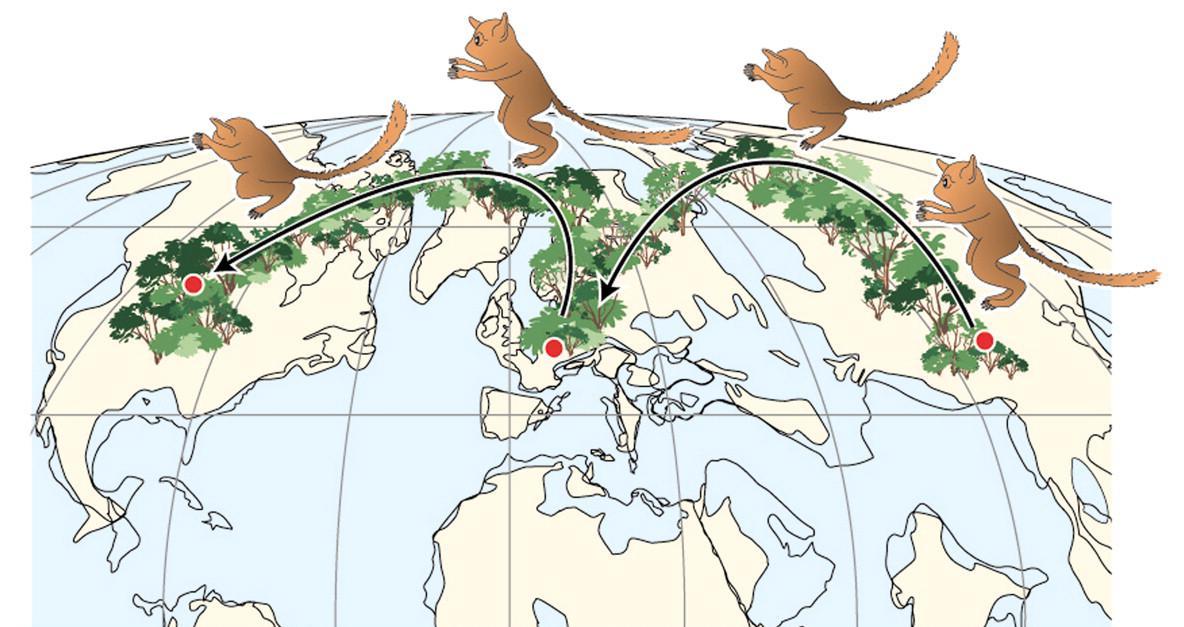 World map with primates jumping across forested areas.