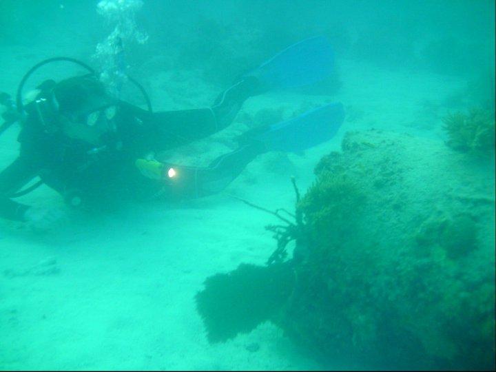 Underwater photograph of scuba diver exploring the ocean floor.