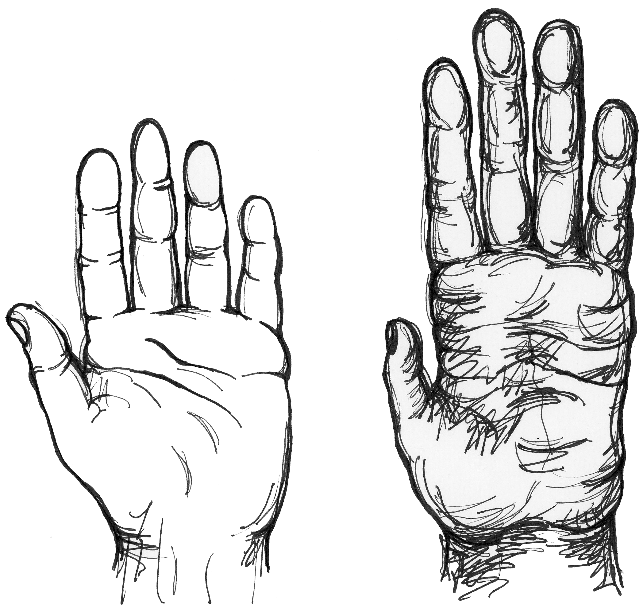 Human hand is smaller with smaller fingers and smoother skin compared to a chimpanzee hand.
