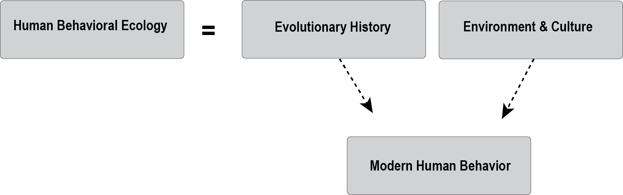 Equation representing human behavioral ecology.