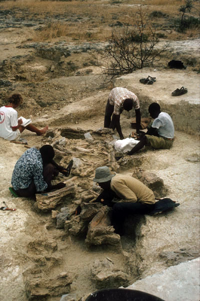 Five men excavating and note-taking at an archaeological site.