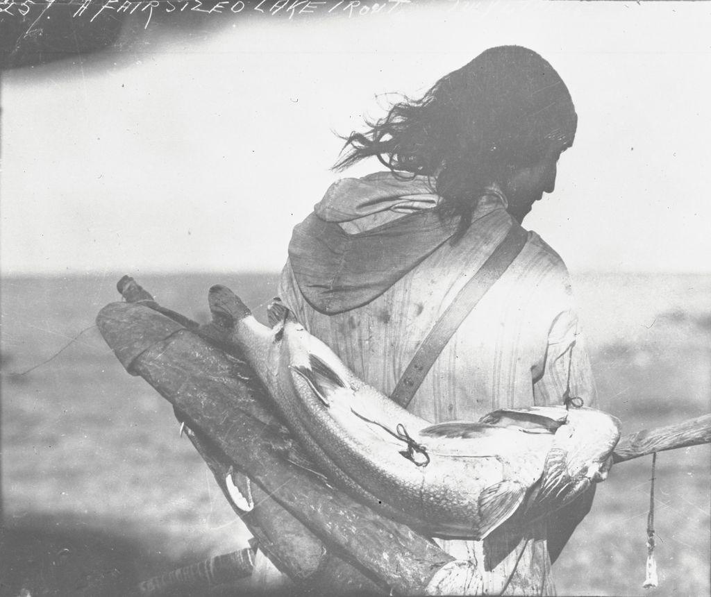 Historic photo of a person carrying a very large fish laid on a pack.