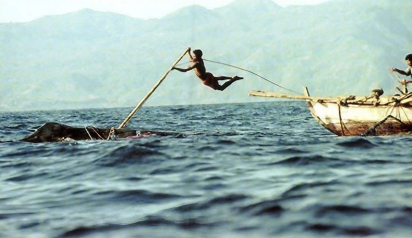 A person jumping from a boat while spearing a whale with a harpoon.