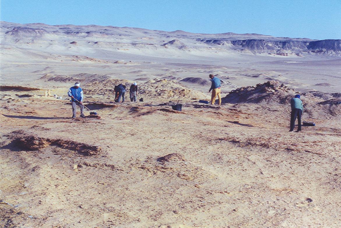 People digging in a sandy desert.