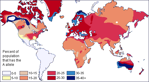 World map showing varying frequencies of blood type A.