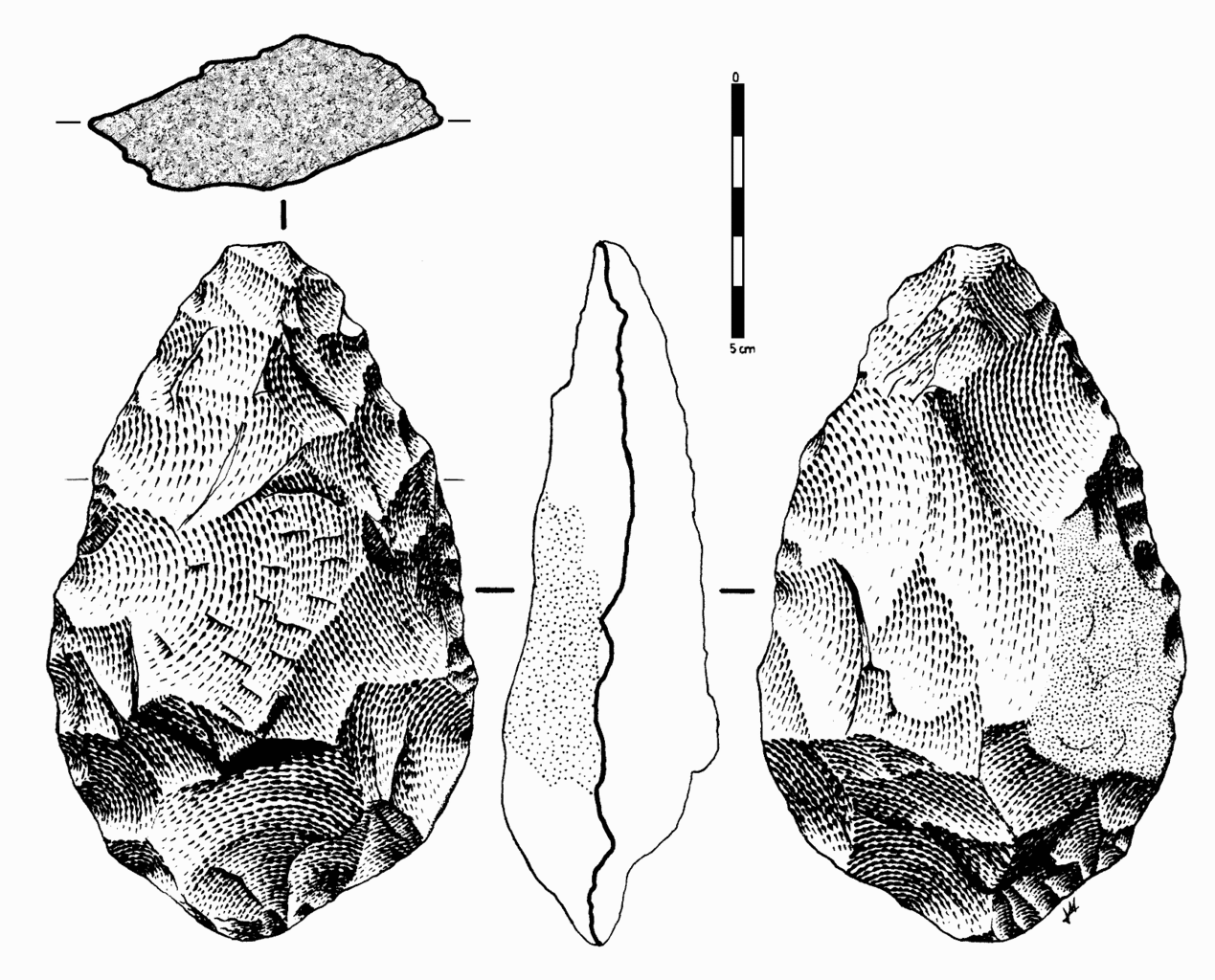 Front, back, side, and top views of oval-shaped stone core with chunks removed.