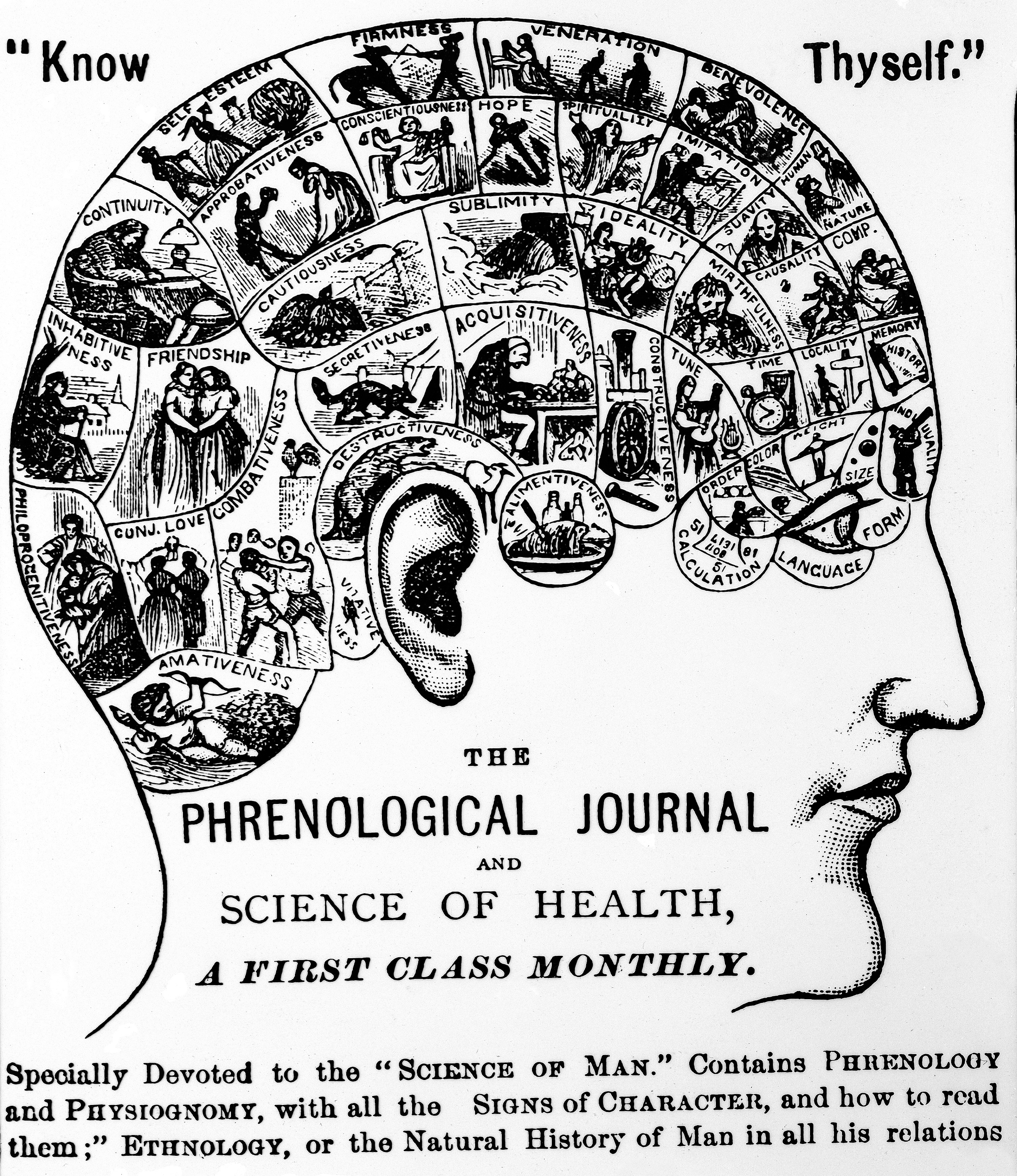 Head with images and human qualities drawn on it. Journal title printed at the bottom.
