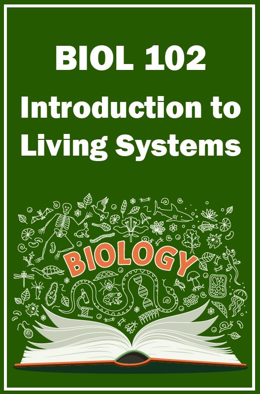 Cover image for Introduction to Living Systems